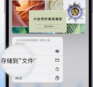 横县apple维修中心分享iPhone文件应用中存储和找到下载文件