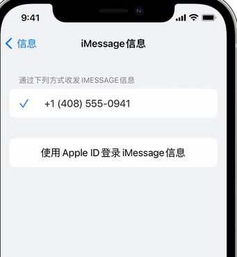 横县apple维修iPhone上无法正常发送iMessage信息