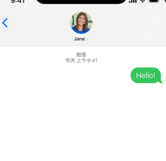 横县apple维修iPhone上无法正常发送iMessage信息