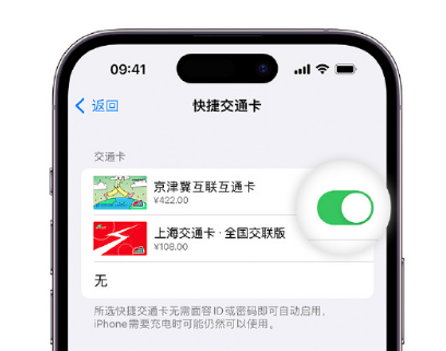 横县apple维修点分享iPhone上更换Apple Pay快捷交通卡手绘卡面 