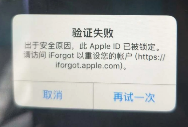 横县iPhone维修分享iPhone上正常登录或使用AppleID怎么办 