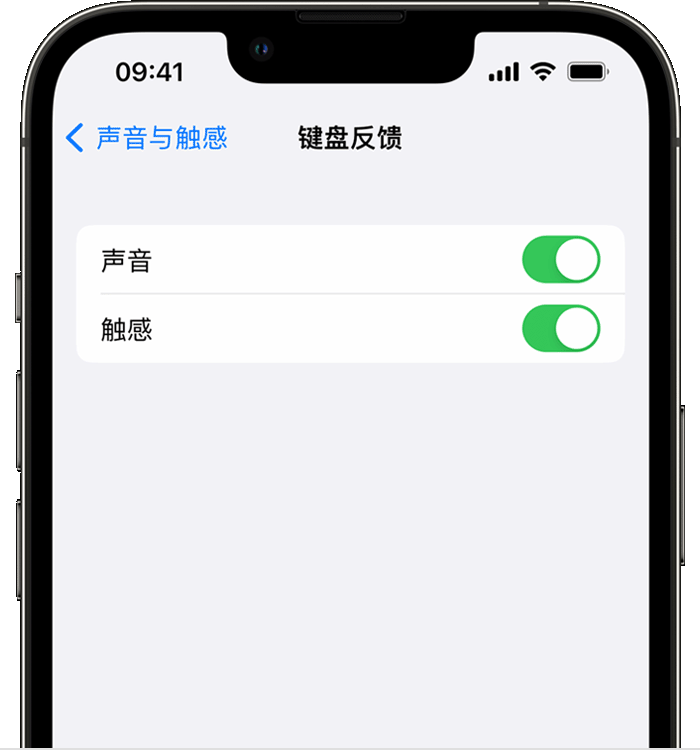 横县苹果14维修店分享如何在 iPhone 14 机型中使用触感键盘 