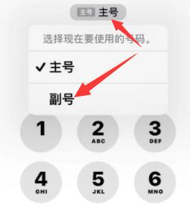 横县苹果14维修店分享iPhone 14 Pro Max使用副卡打电话的方法 