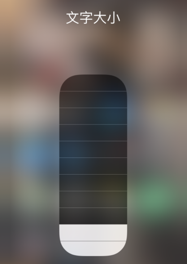 横县苹果手机维修分享小技巧：在 iPhone 控制中心快速调节字体大小 