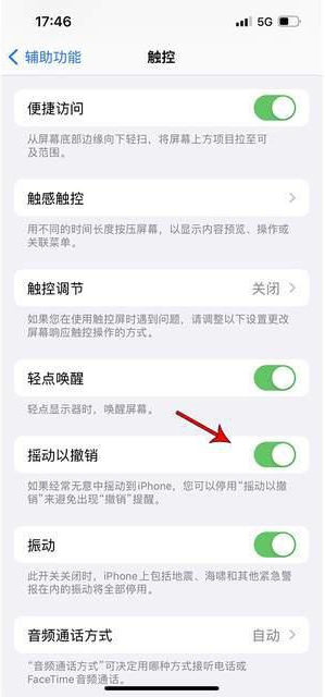 横县苹果手机维修分享iPhone手机如何设置摇一摇删除文字 